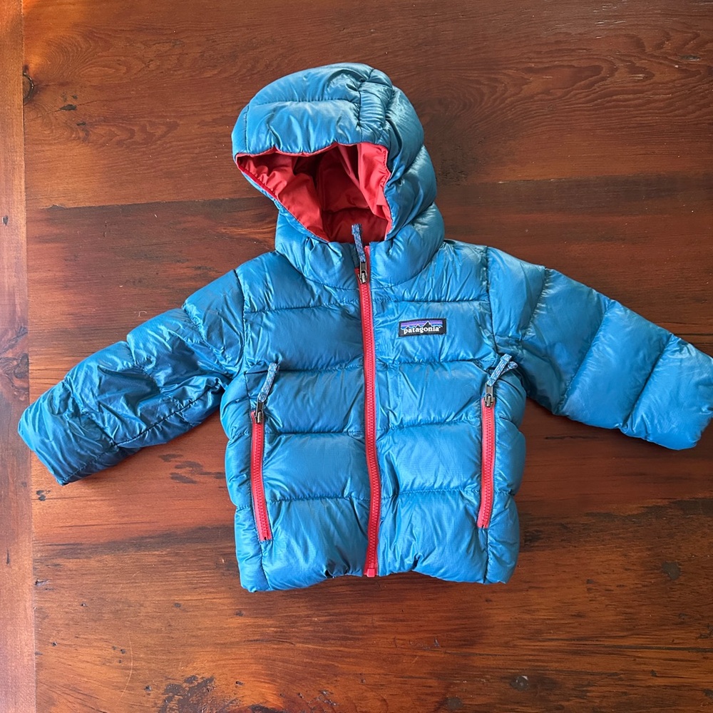 Patagonia down sweater hoody